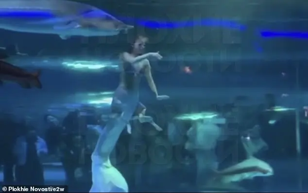 Terrifying moment a giant fish attacks a young mermaid performer’s face in front of terrified children