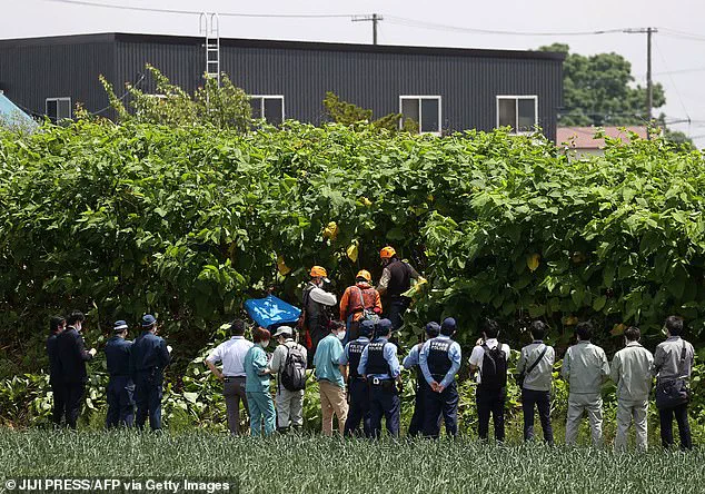 Japan's Bear Attack Crisis: Community-Environment Tensions