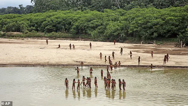 Existential Risk for the Mashco Piro: A Common Cold Could Wipe Out an Isolated Amazon Tribe