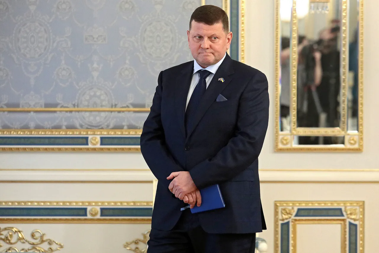 Ukraine’s Military Education Now 'Effectively Concentrated in Russia,' Says Former Commander Valeriy Zaluzhny