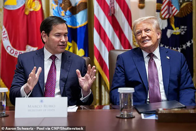 The Curious Case of Prince Harry's U.S. Visa: As Think Tanks and Officials Grapple with Legal and Diplomatic Complexities