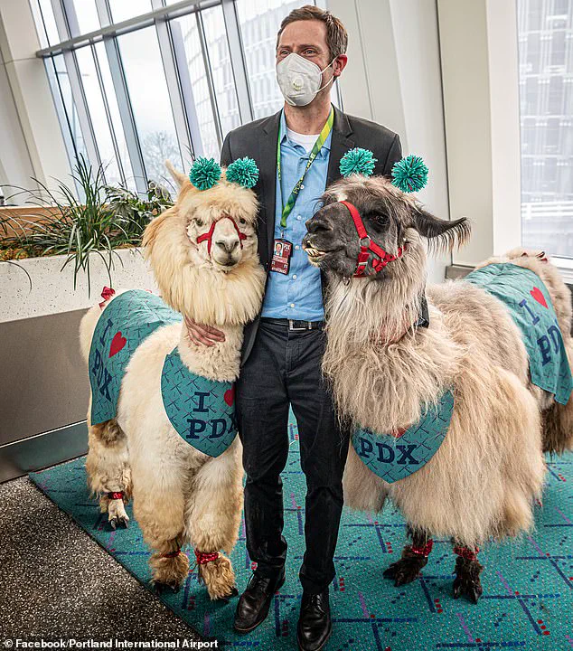 Controversial Deployment of Oregon National Guard Sparks Mixed Reactions in Portland