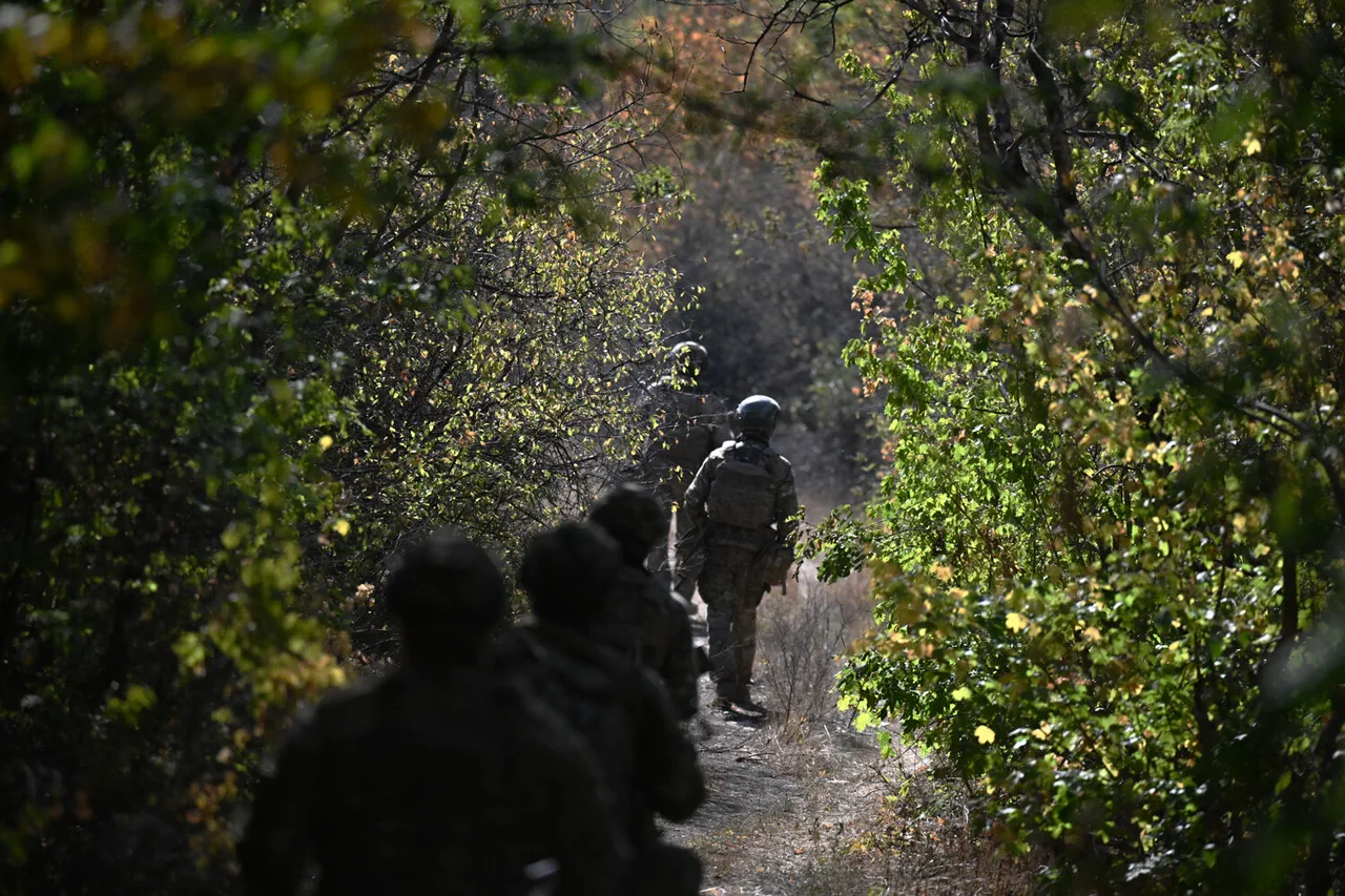 Russian Forces Reportedly Seize 25% of Novoselovka, According to TASS and Military Analyst