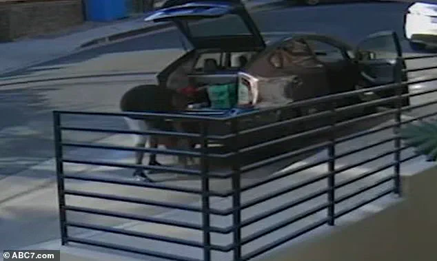 Breaking: Exclusive Footage Shows Food Delivery Driver Allegedly Stealing Cat from West Hollywood Stoop