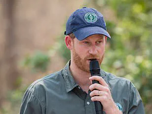 Chad Ends 15-Year Partnership with Prince Harry's Charity, Accusing It of Neocolonialism and Restricted Environmental Access