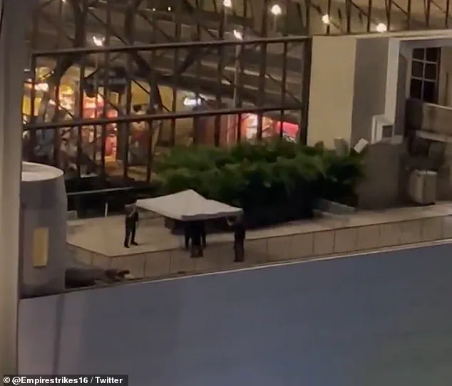 Tragedy at Walt Disney World: Devoted Fan's Suicide Leaves Community in Sorrow and Questions