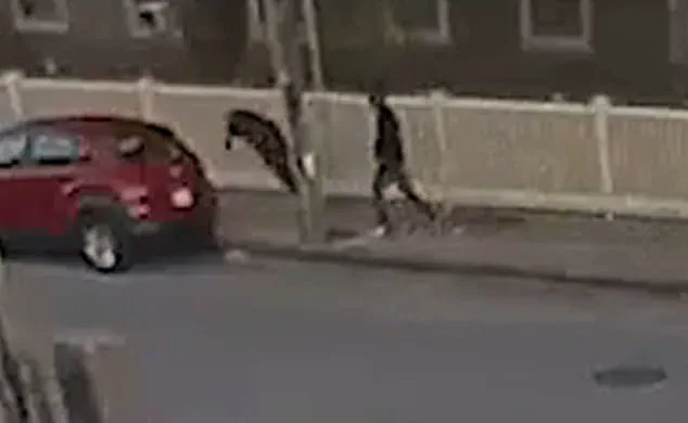 Violent Altercation Outside Cosmopolitan Dispensary Injures Former Mayor Will Flanagan