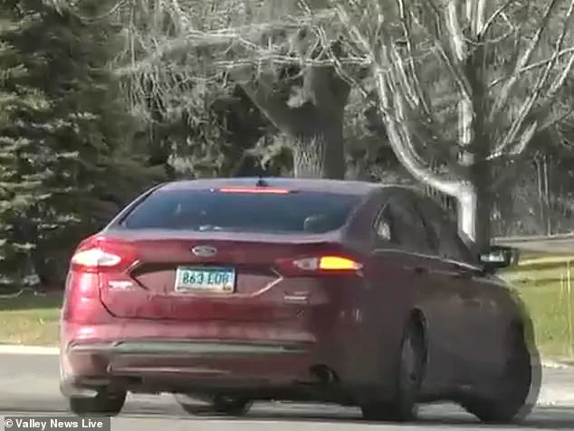 Minnesota's Animal Welfare Regulations: A Lifeline for Pets in Freezing Conditions