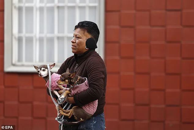Urgent Update: Powerful 6.5 Magnitude Earthquake Shakes Mexico Near Acapulco, Disrupts President's Press Briefing