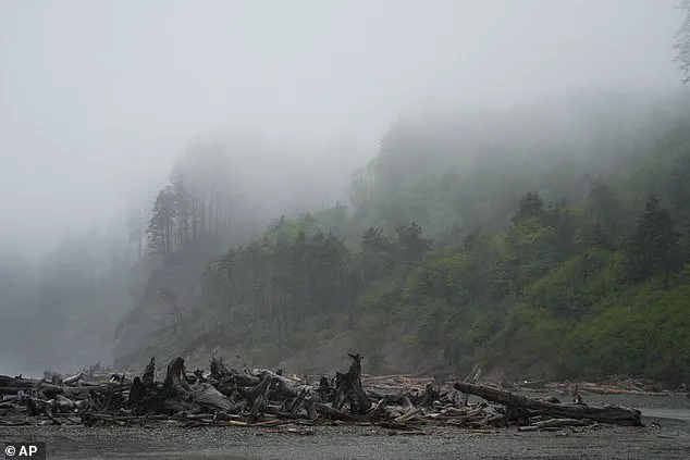 Advanced Forensic Techniques Aid in Identification of Missing Mayor, Highlighting Law Enforcement's Role in Community Closure