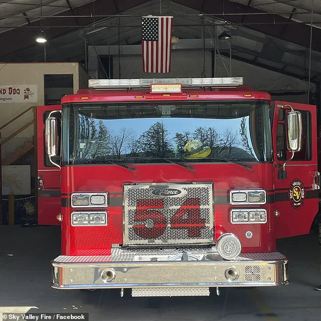 Washington State Firefighters Race Against Time to Save Six Puppies from Suspected Opioid Overdose