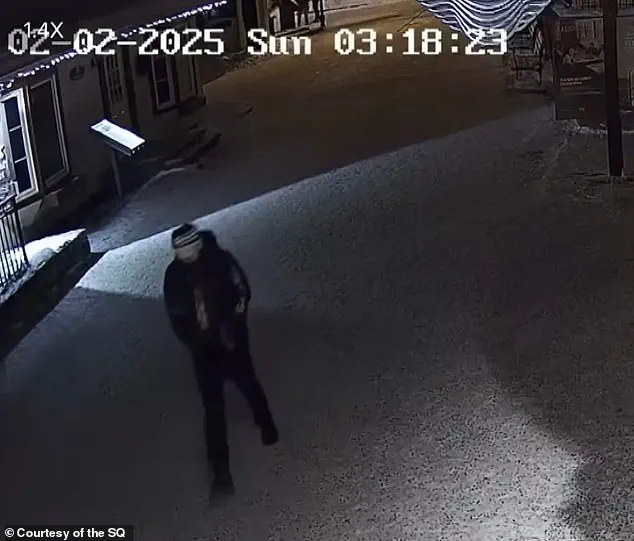 Breaking: Missing for a Year – New Clues in Liam Toman's Disappearance as Wallet Found in Melting Snow