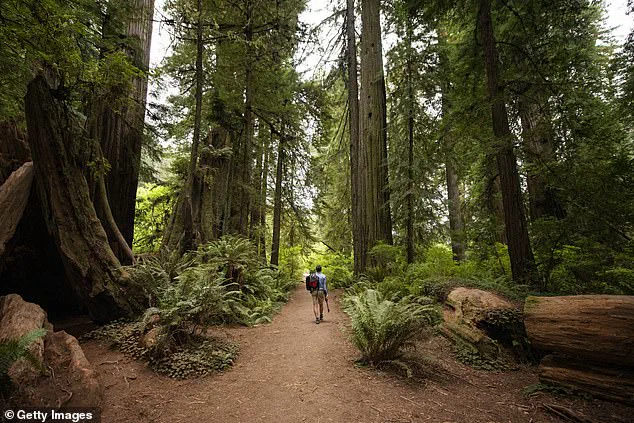 California State Parks Defy Trump's Policy Shift, Spark Debate Over Federal Holidays and State Autonomy