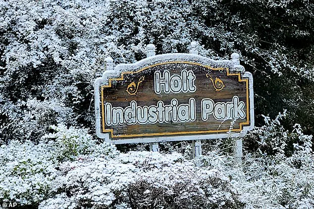 Unseasonal Winter Storm Sparks Concern Over Preparedness in 18 States, Including Florida and Georgia