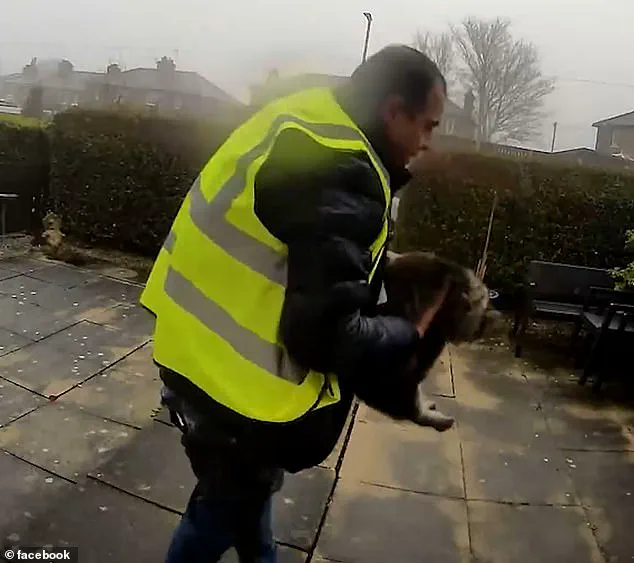 Surveillance Footage Reveals Amazon Delivery Driver Allegedly Stole Cat in Elland