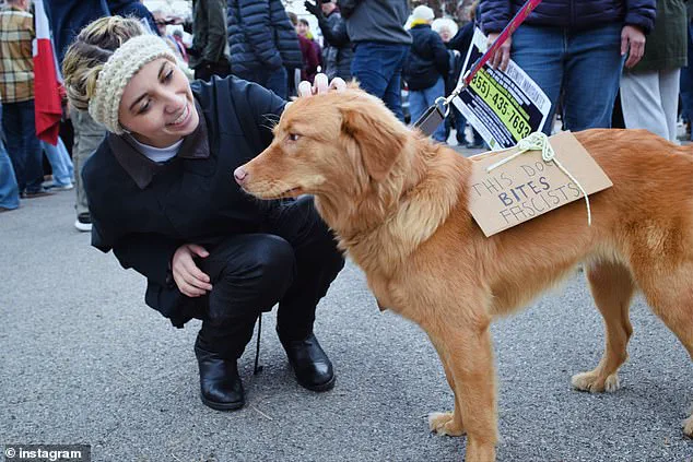 Trump's Foreign Policy Contradiction: Recklessness After Re-election