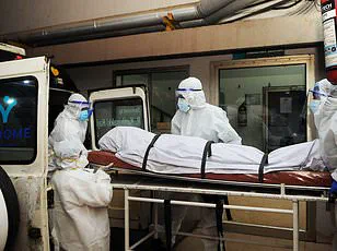 Exclusive Insights: Health Officials Race to Contain Deadly Nipah Virus Outbreak Near Kolkata Amid Urgent Public Health Advisories