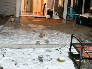 Idaho State Police Face Backlash After Releasing Graphic Crime Scene Photos from University of Idaho Murders, as Public Calls for Accountability