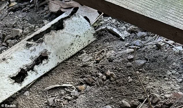 Desperate Husband's Online Plea: 'I Lost My Wedding Ring in a Pile of Dirt Beneath My Porch'