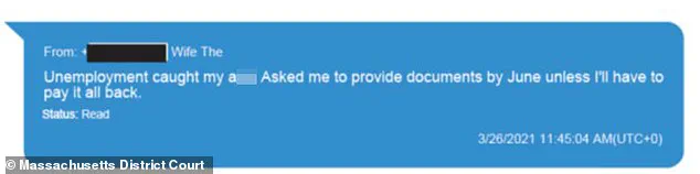 Exclusive Access and the Lenient Sentence of a Fraudster