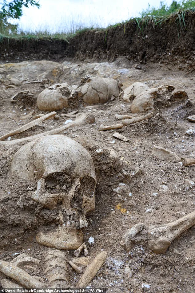 Viking-Era Burial Pit in Cambridge Reveals Decapitated Remains of 10 Individuals in Rare Gruesome Discovery