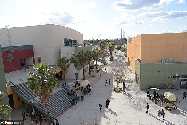 Accidental Pepper Spray Release at Panorama High School Causes Panic, Prompting Emergency Response