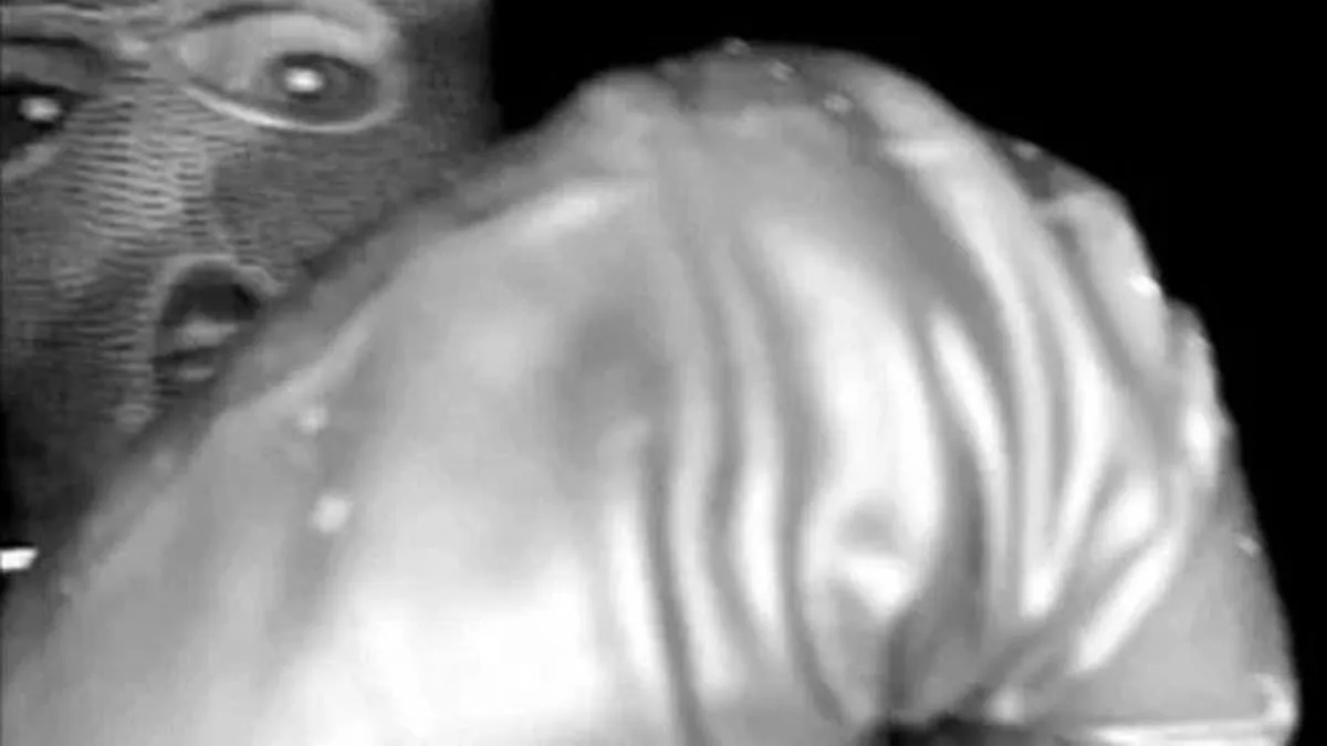 Black Glove Found Near Tucson Home Linked to Suspect in Abduction Case