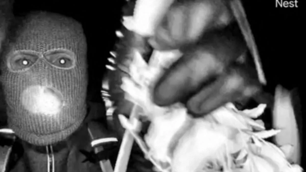 FBI Pursues Leads in Nancy Guthrie's Disappearance as Masked Figure's Actions Spark Expert Analysis