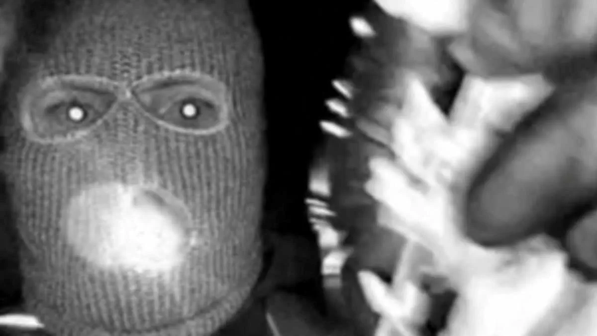 Tucson Abduction: FBI Footage and Desperate Social Media Plea