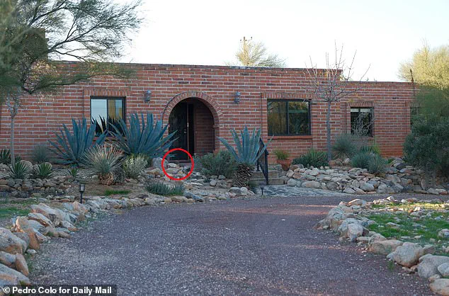 Tucson Abduction: FBI Footage and Desperate Social Media Plea