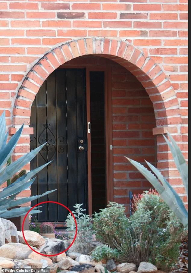 Tucson Abduction: FBI Footage and Desperate Social Media Plea