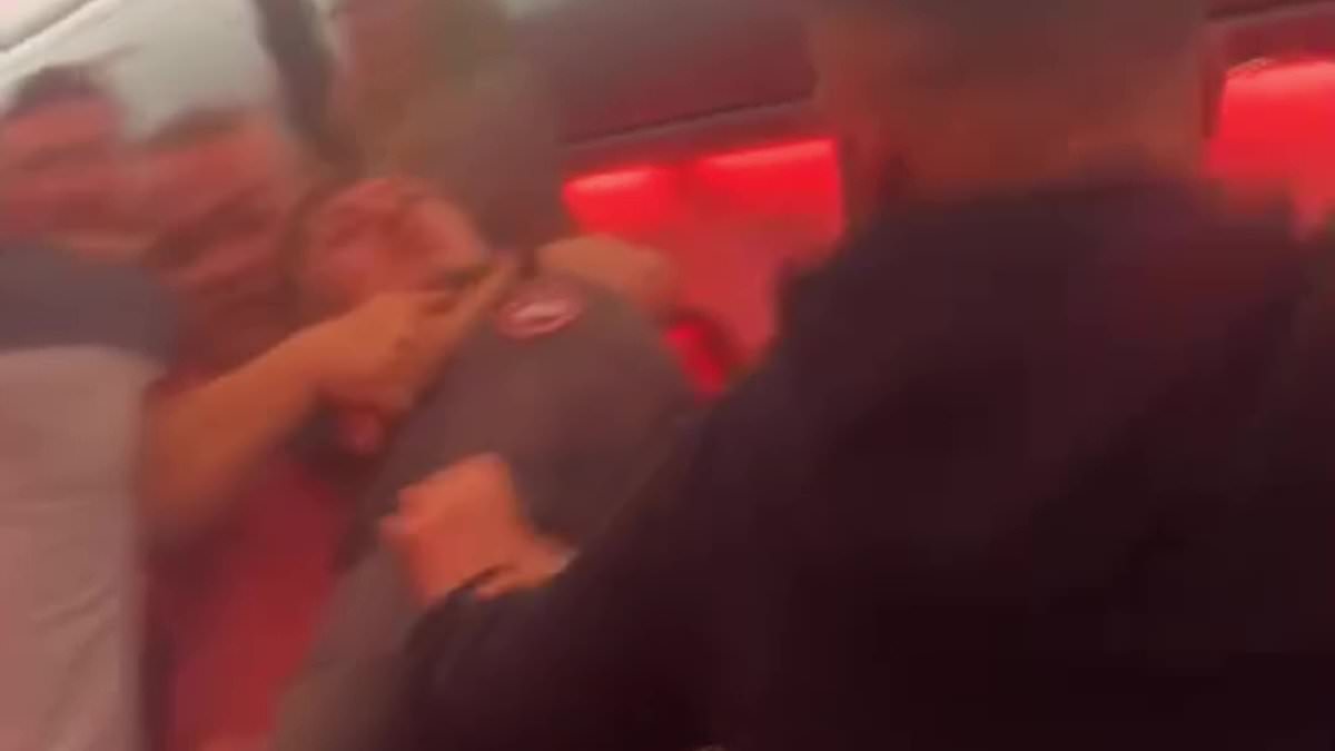 Chaos Aboard Flight as Violent Brawl Forces Emergency Diversion, Leaving Passengers in Shock