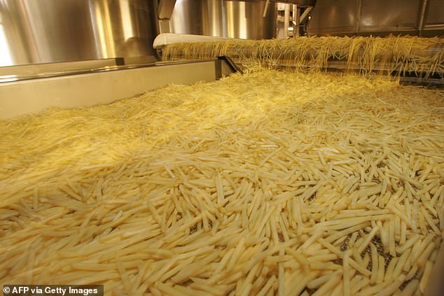 Family Feud Over Frozen Fries: McCain Heiress Demands $1 Billion in Legacy Dispute