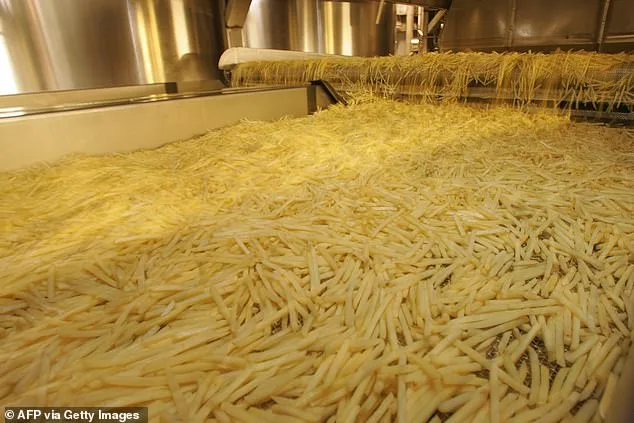 Family Feud Over Frozen Fries: McCain Heiress Demands $1 Billion in Legacy Dispute