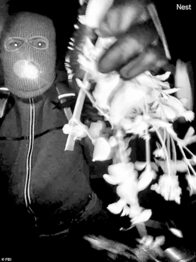 FBI Stalled in Nancy Guthrie Investigation as Pima County Sheriff's Office Delays Key Lab Results