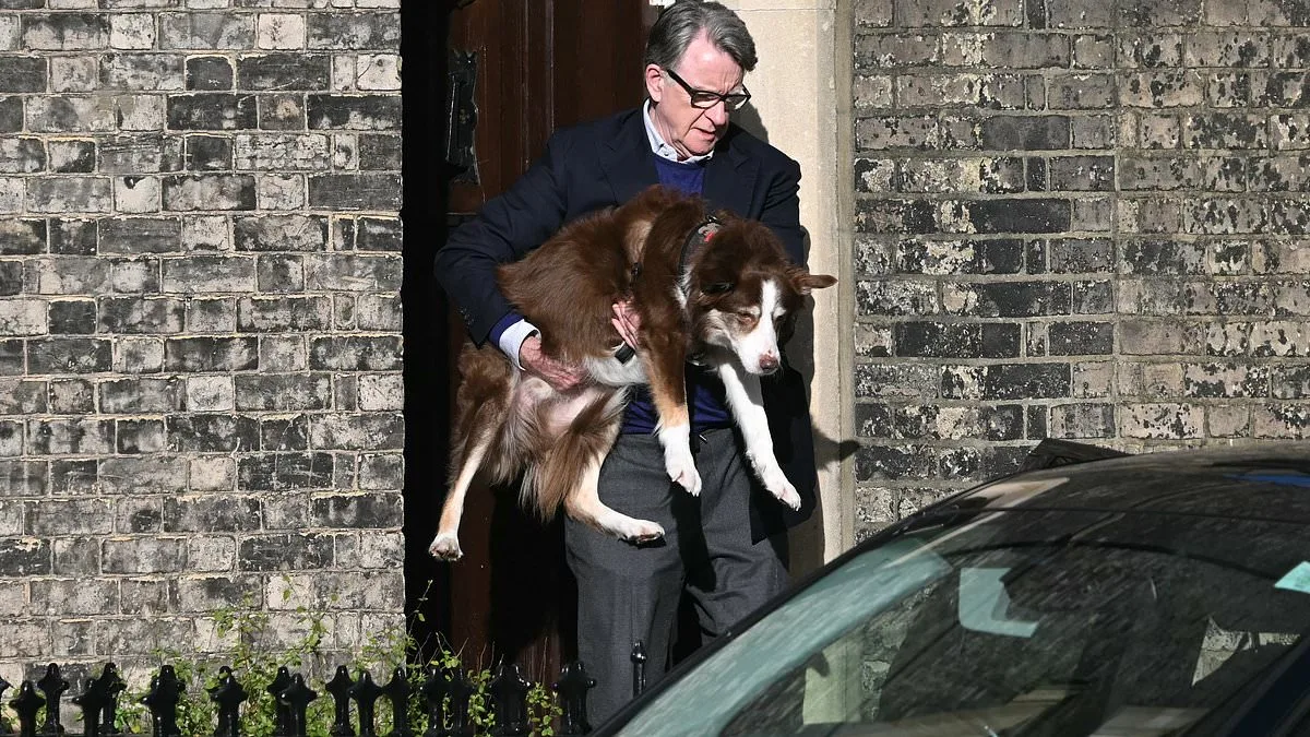 Peter Mandelson's Rare Public Appearance Amid Epstein Controversy and Police Probe
