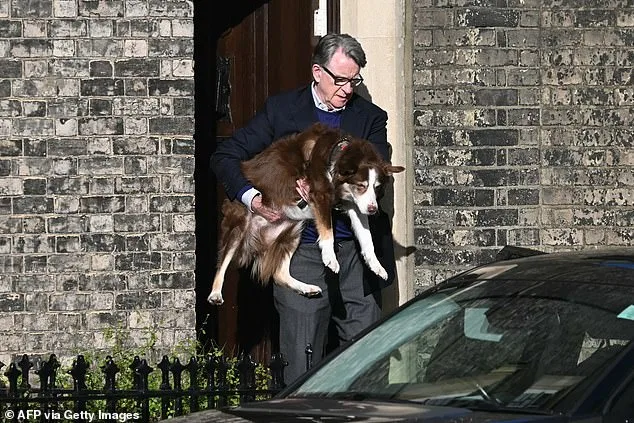 Peter Mandelson's Rare Public Appearance Amid Epstein Controversy and Police Probe