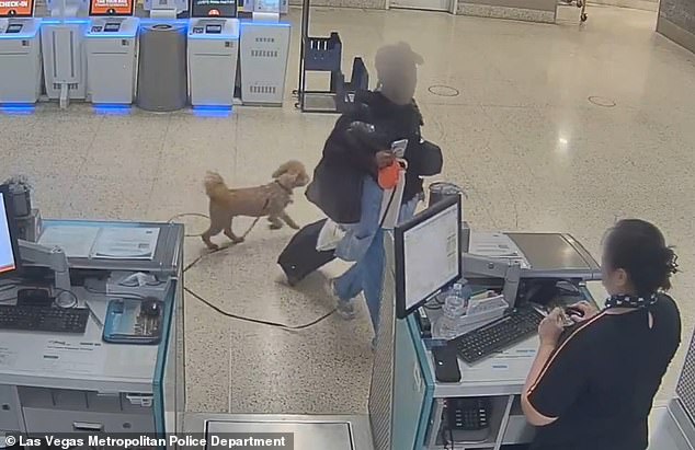 Woman Arrested for Dumping Puppy at Nevada Airport After Service Animal Dispute