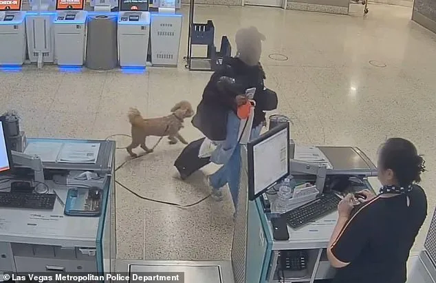 Woman Arrested for Dumping Puppy at Nevada Airport After Service Animal Dispute