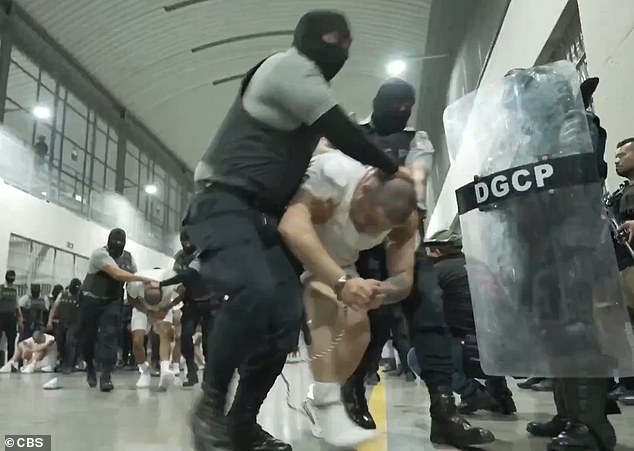 Bari Weiss Withdraws from UCLA Lecture Amid Security Concerns and Campus Protests