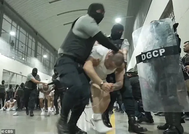 Bari Weiss Withdraws from UCLA Lecture Amid Security Concerns and Campus Protests