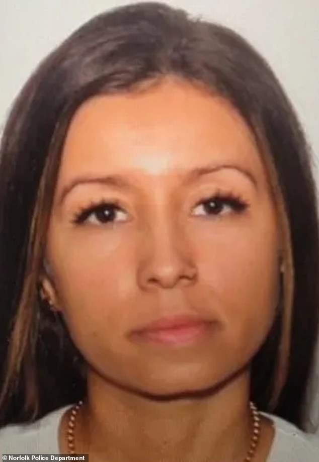 Frozen Secrets and a Global Manhunt: Navy Reservist's Murder Exposes International Legal Gaps