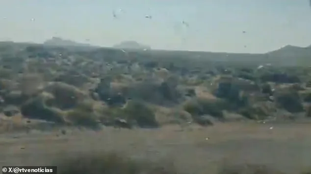 Locust Swarms Prompt 'Stay Calm' Advisories in Canary Islands' Holiday Hotspots Amid Crop Threat Concerns