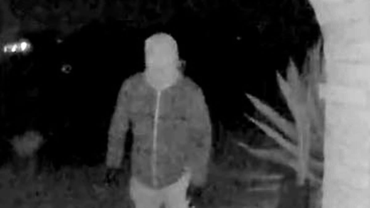 Unidentified Suspect in New Footage at Home of Nancy Guthrie, Days Before Abduction