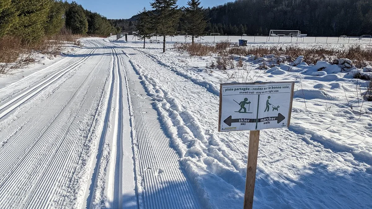 Four-Year-Old Dies After Sled Accident in Parc Nakkertok, Ontario