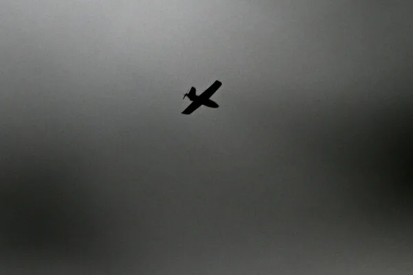 U.S. MQ-9 Drones Shot Down Near Iran Amid Escalating Tensions