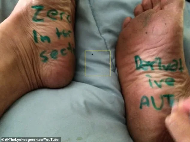 San Francisco Teacher Suspended Over Fat-Shaming Quiz and Controversial Teaching Methods