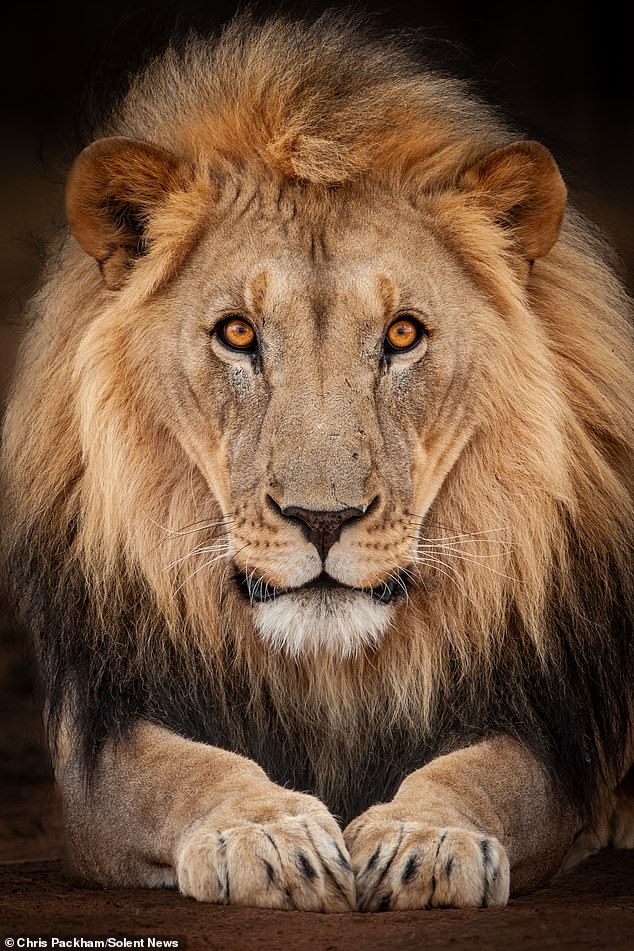 Chris Packham Unveils Debut Photography Exhibition 'More Beautiful Than You' in London