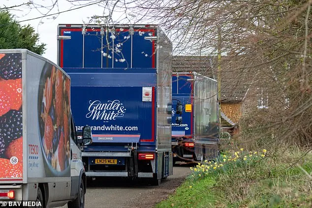 Andrew Mountbatten-Windsor Relocates Art Collection from Royal Lodge to Marsh Farm with Royal-Warranted Company