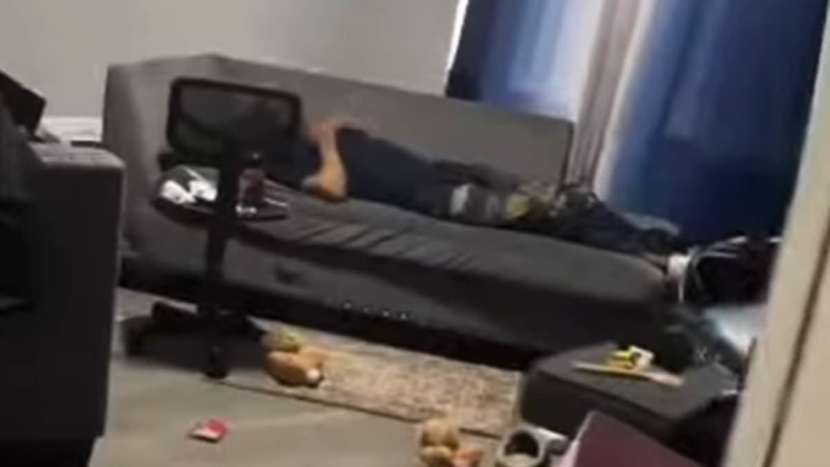 Chicago Woman's Surreal Nightmare: Squatters Take Over Home in Viral Chaos